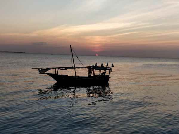 image of  Professional tour to Tanzania and Zanzibar August 23rd-30th 2019